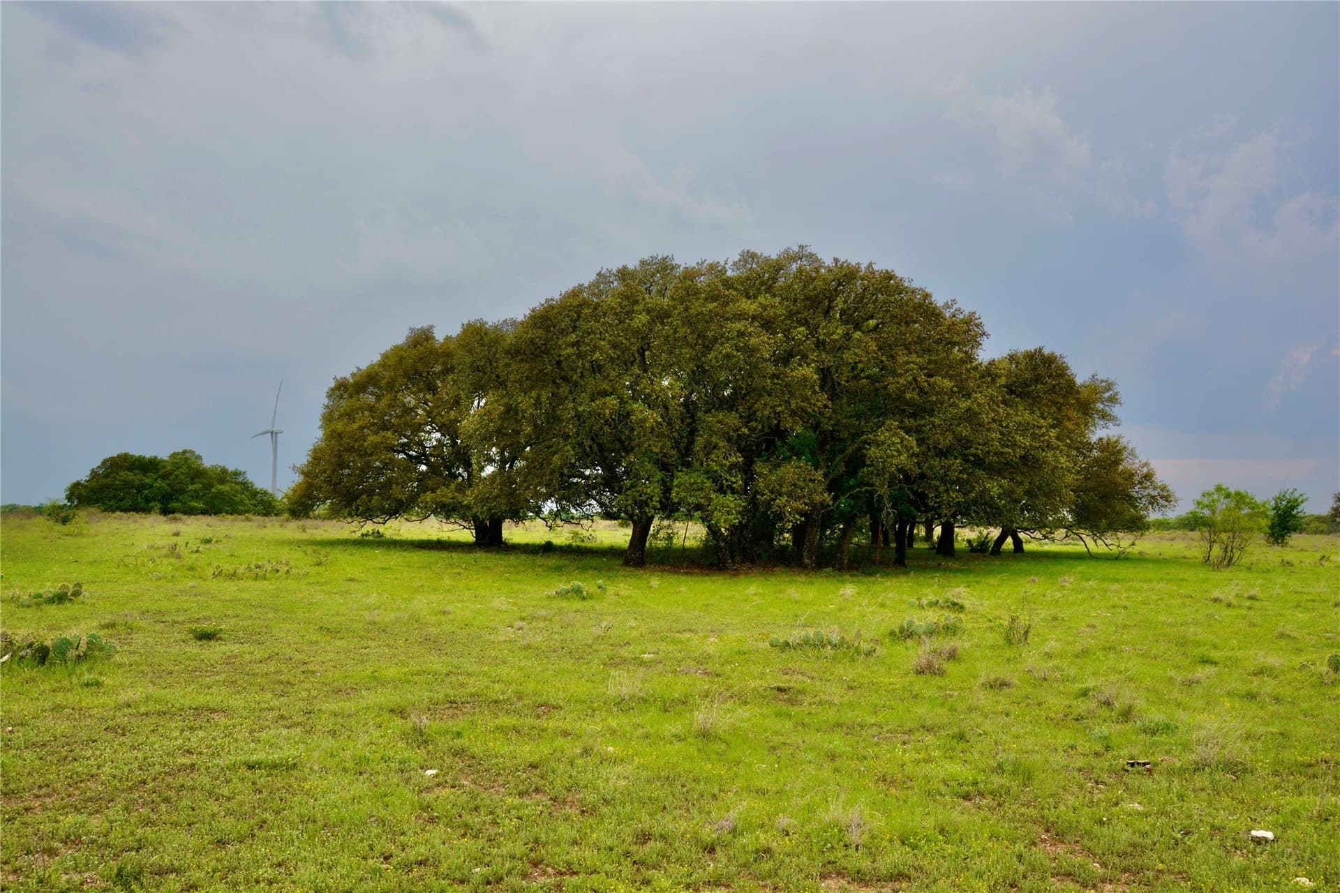 90 acres in Mills County - photo 8