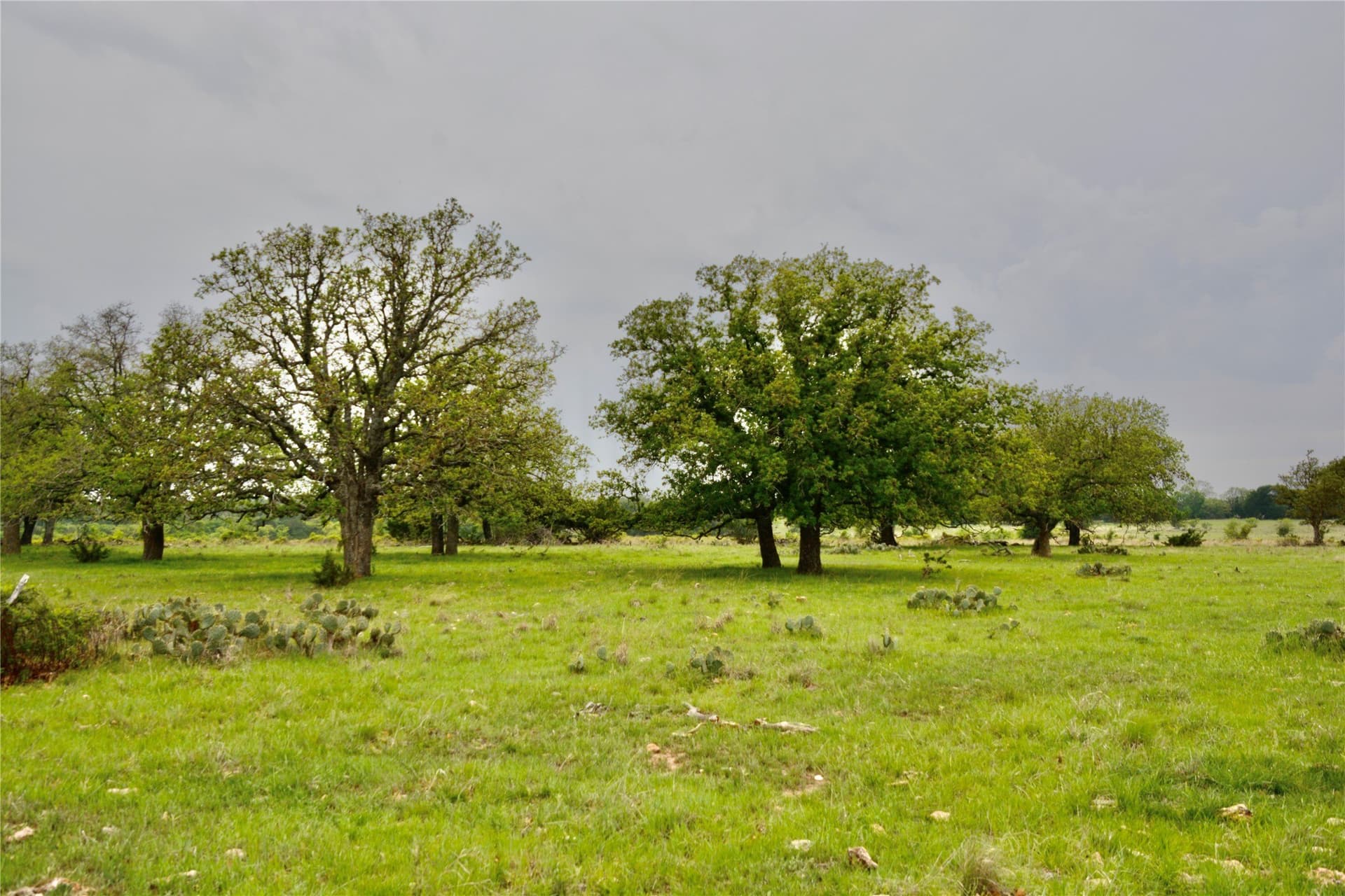 90 acres in Mills County - photo 11