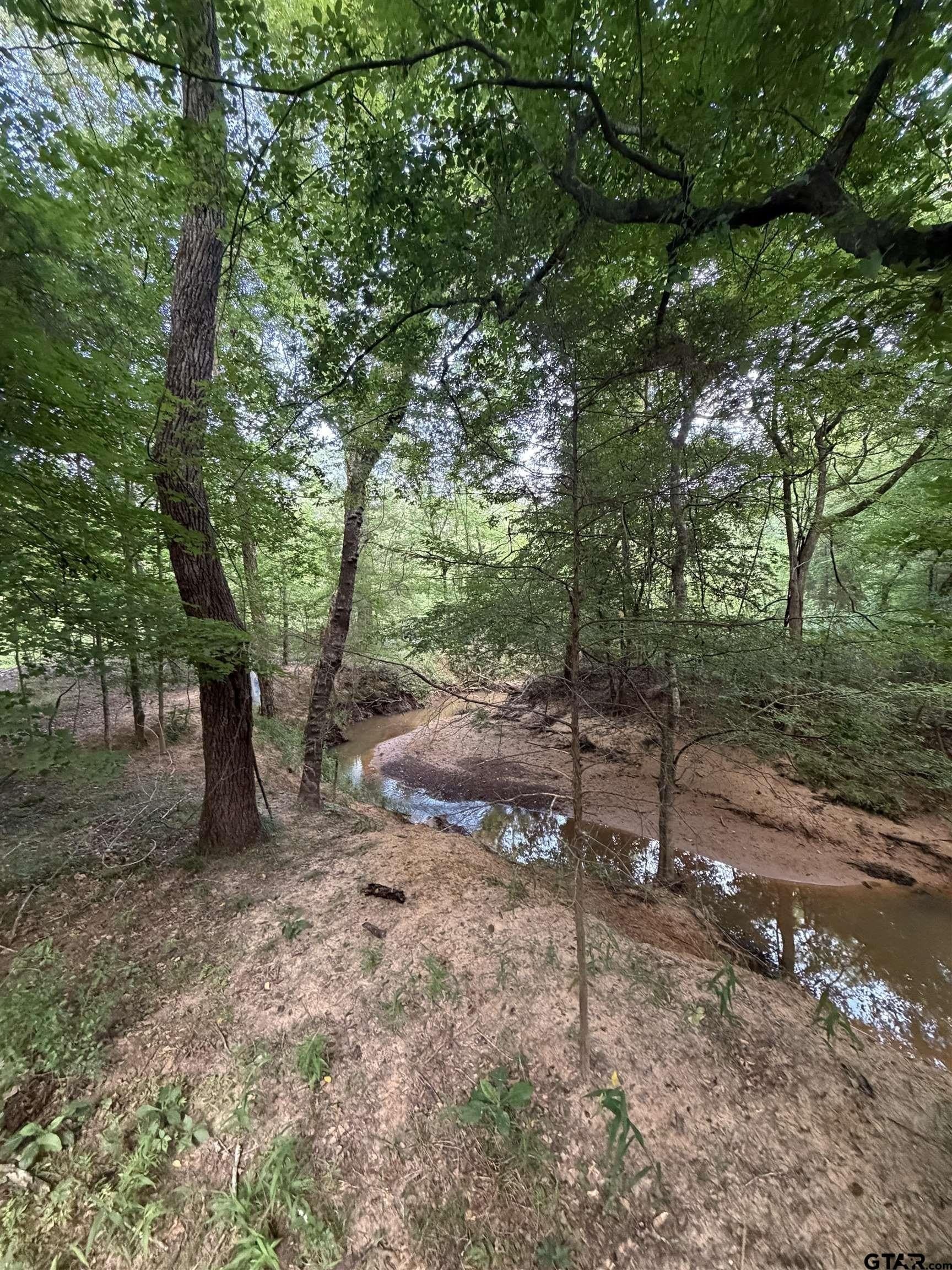 37.74 acres in Cherokee County - photo 4