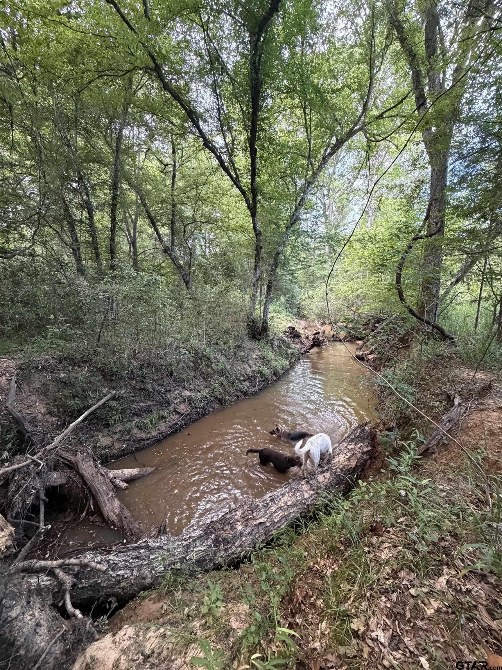 37.74 acres in Cherokee County - photo 3