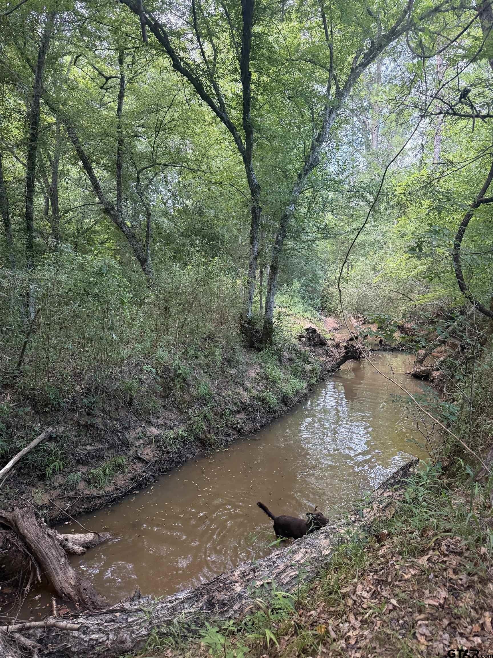 37.74 acres in Cherokee County - photo 5