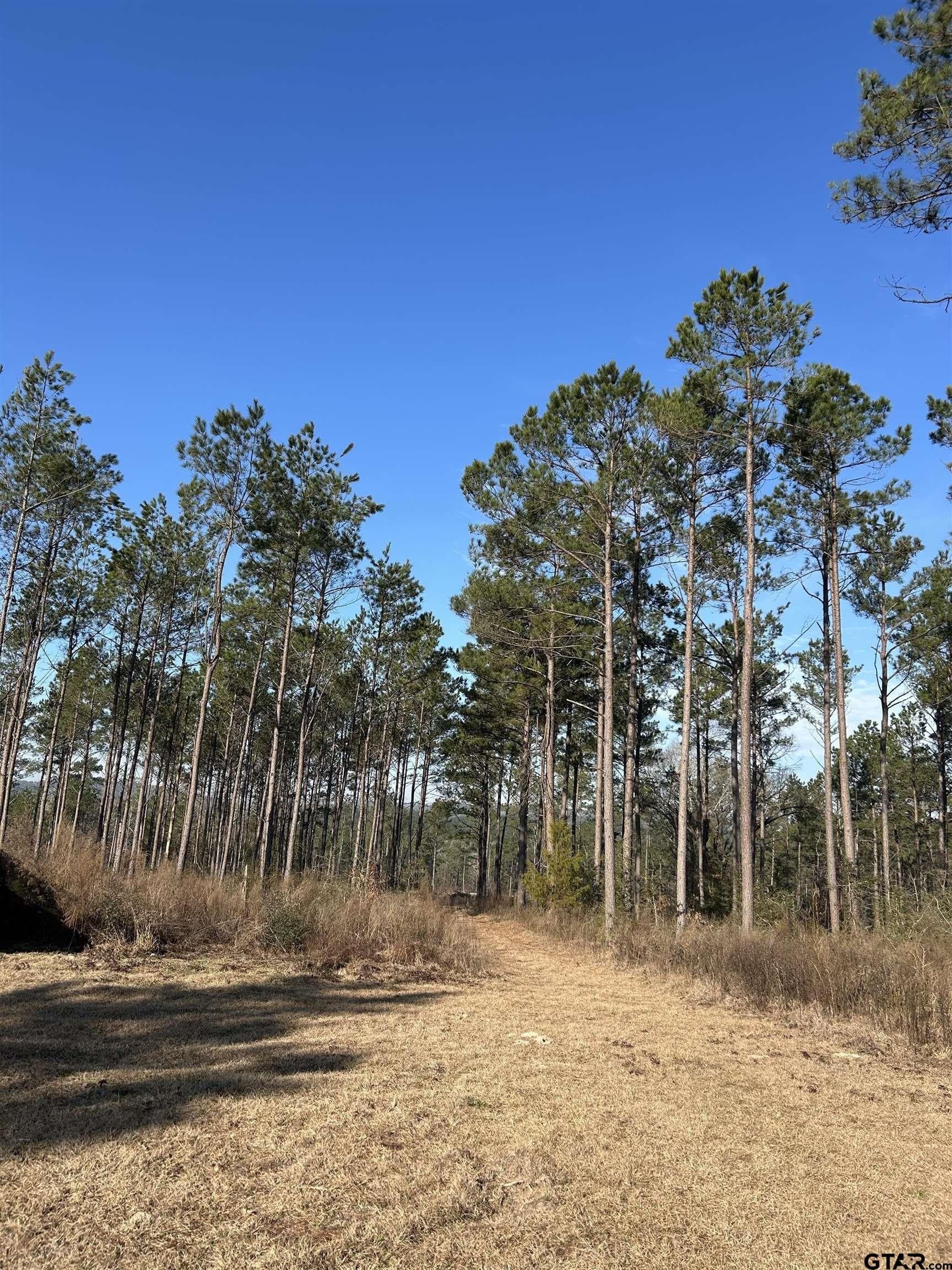37.74 acres in Cherokee County