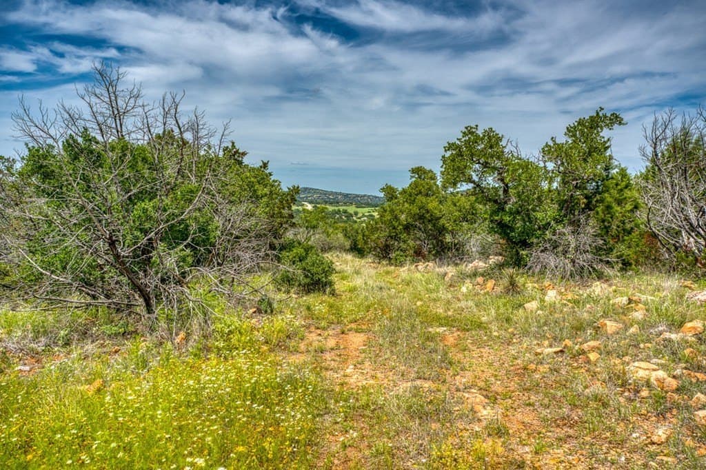 125.68 acres in Llano County - photo 57