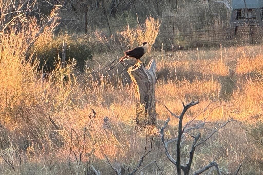 125.68 acres in Llano County - photo 35