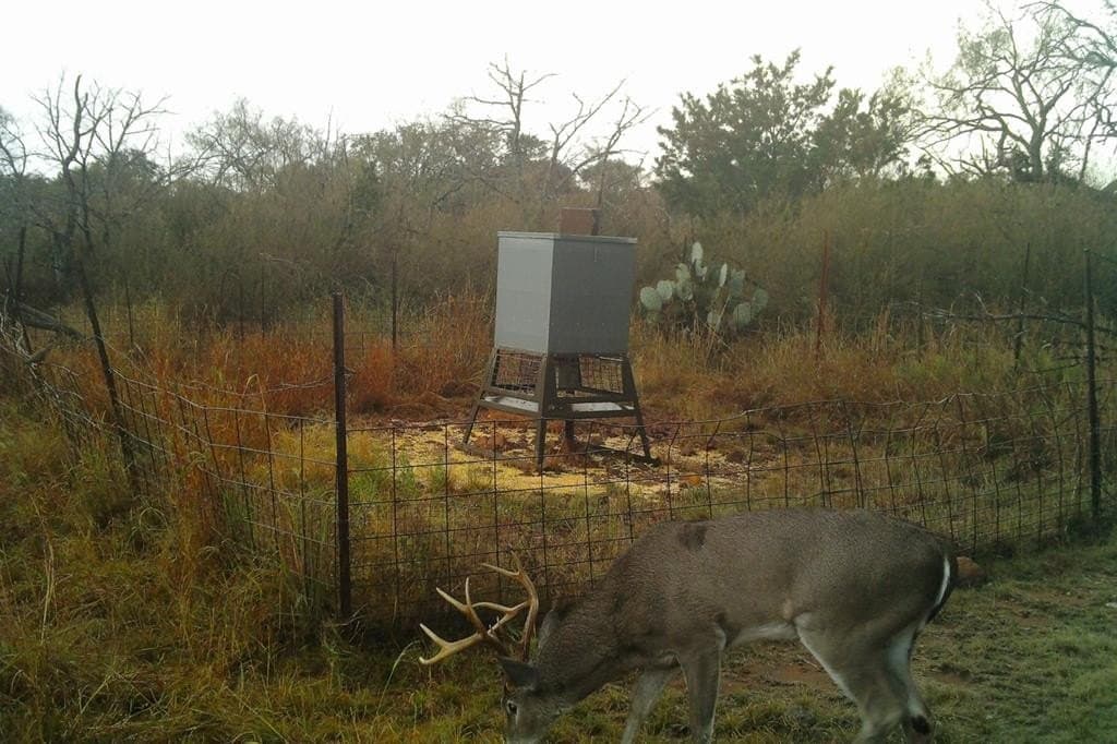 125.68 acres in Llano County - photo 36