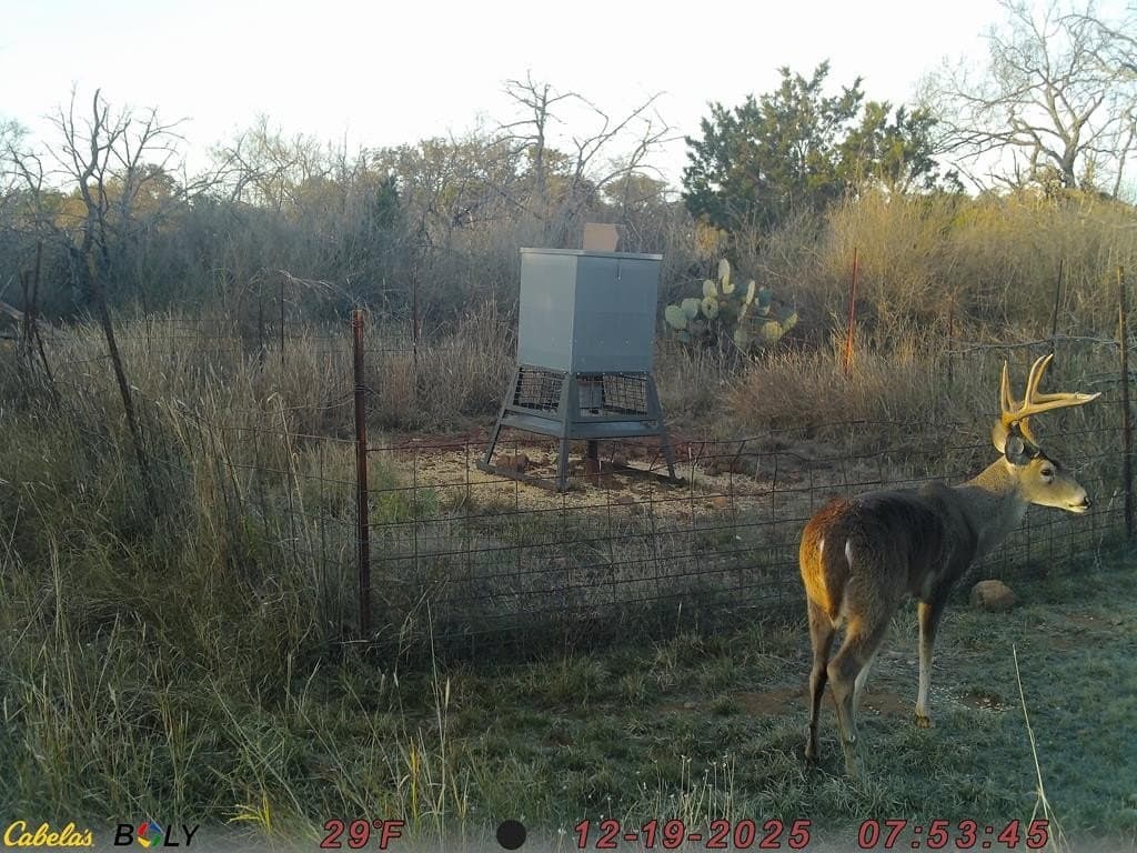 125.68 acres in Llano County - photo 38