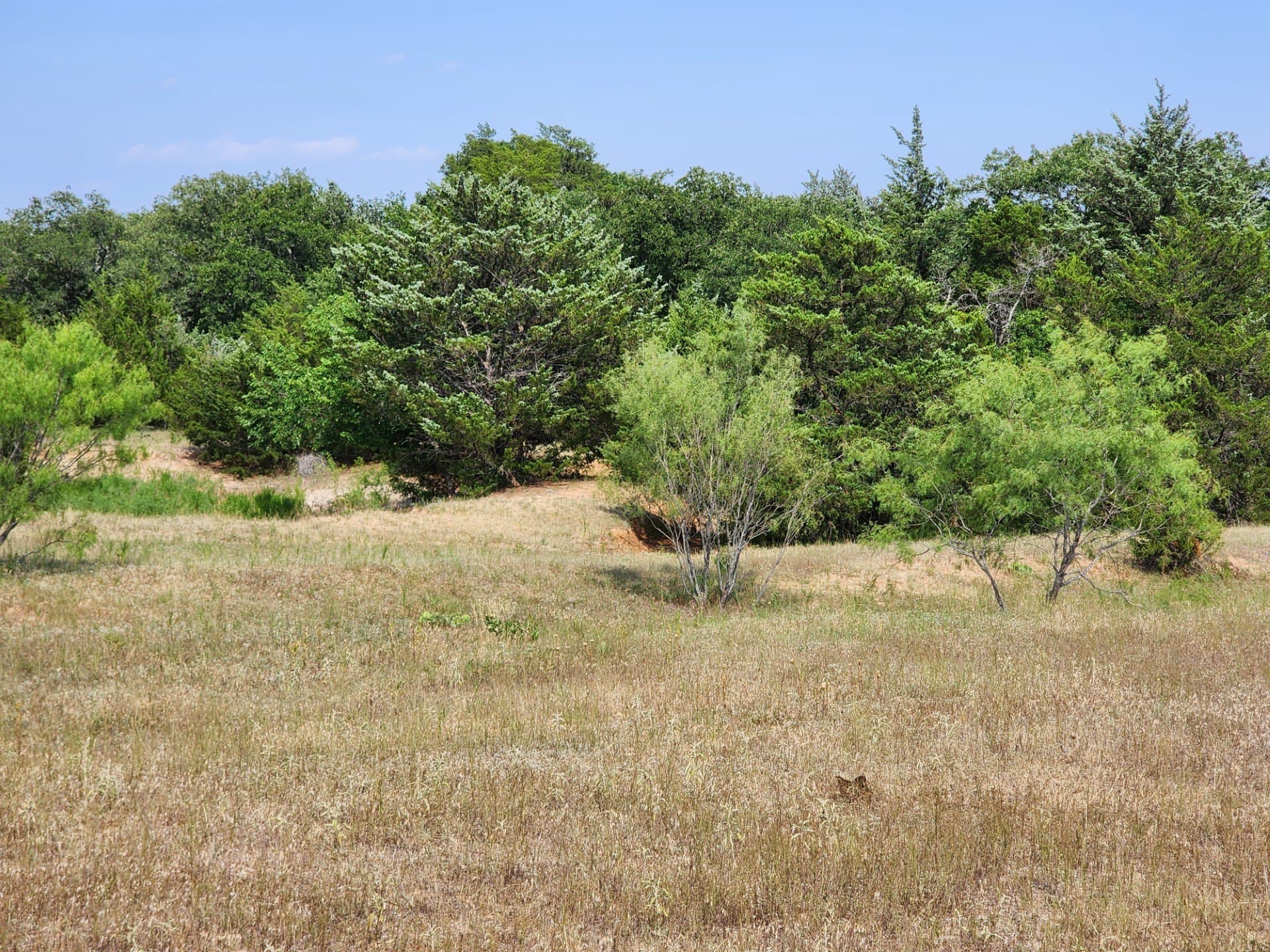 54.51 acres in Wise County - photo 11