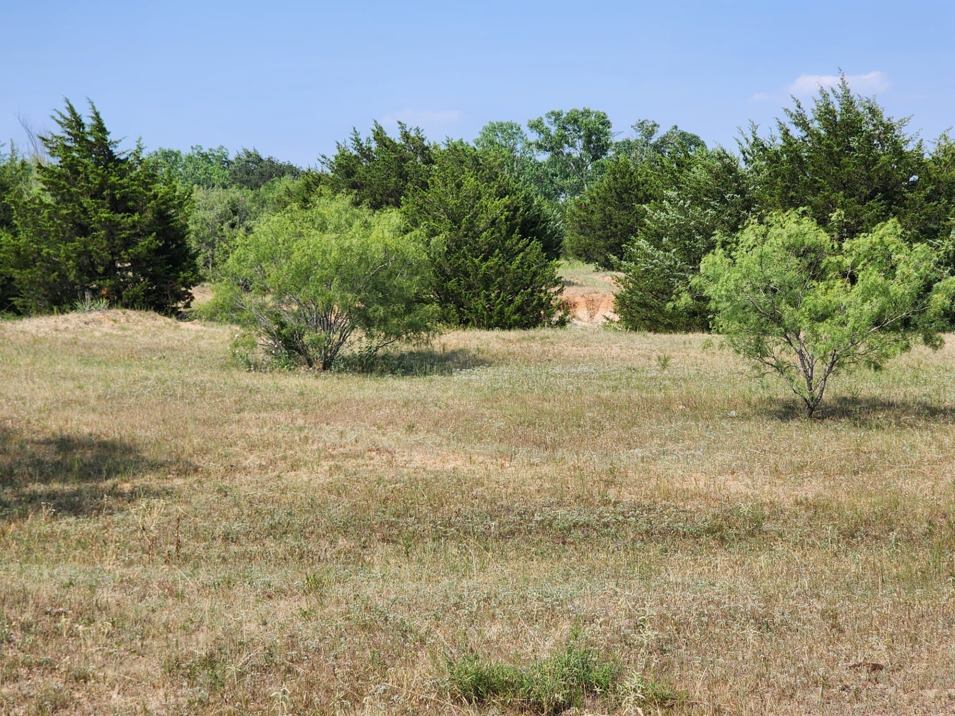 54.51 acres in Wise County gallery image 4
