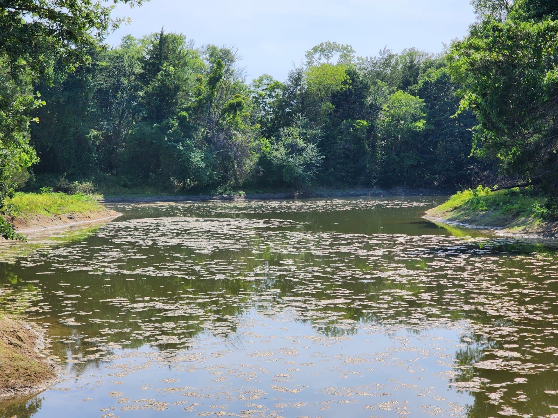 54.51 acres in Wise County gallery image 3
