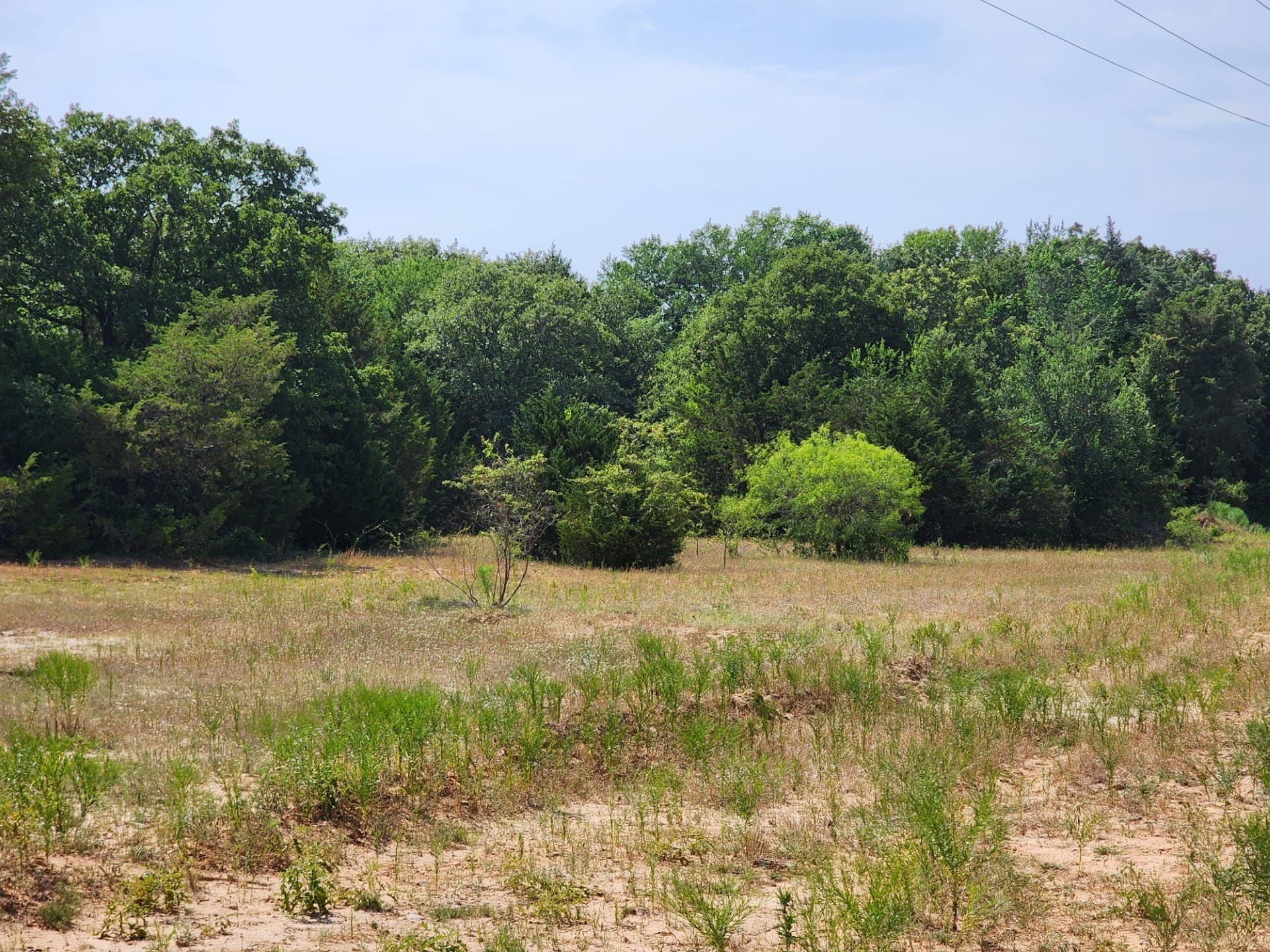 54.51 acres in Wise County - photo 10