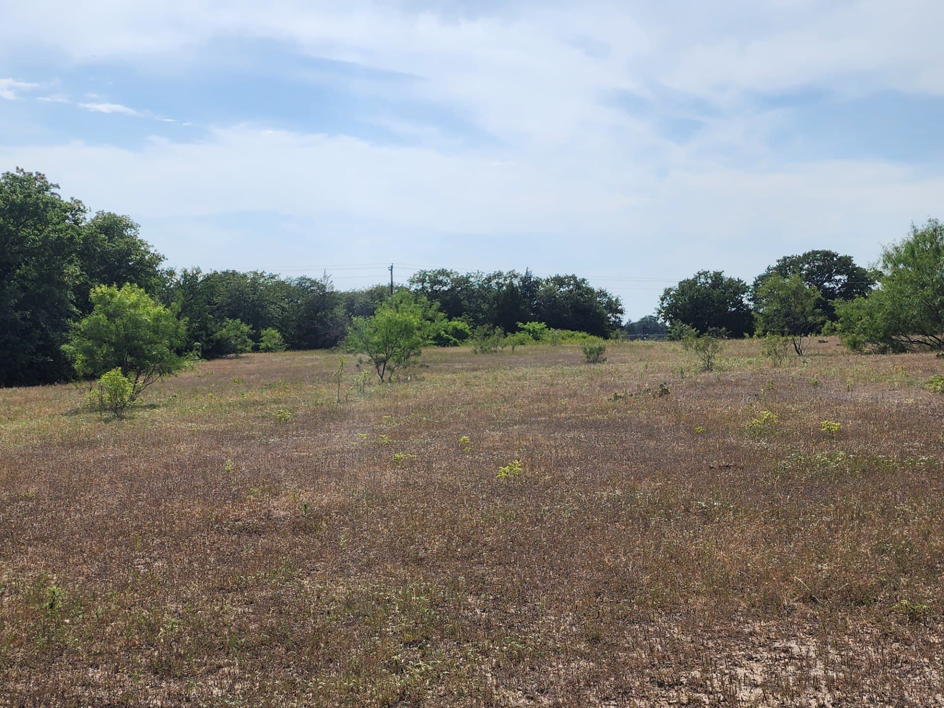 54.51 acres in Wise County - photo 6