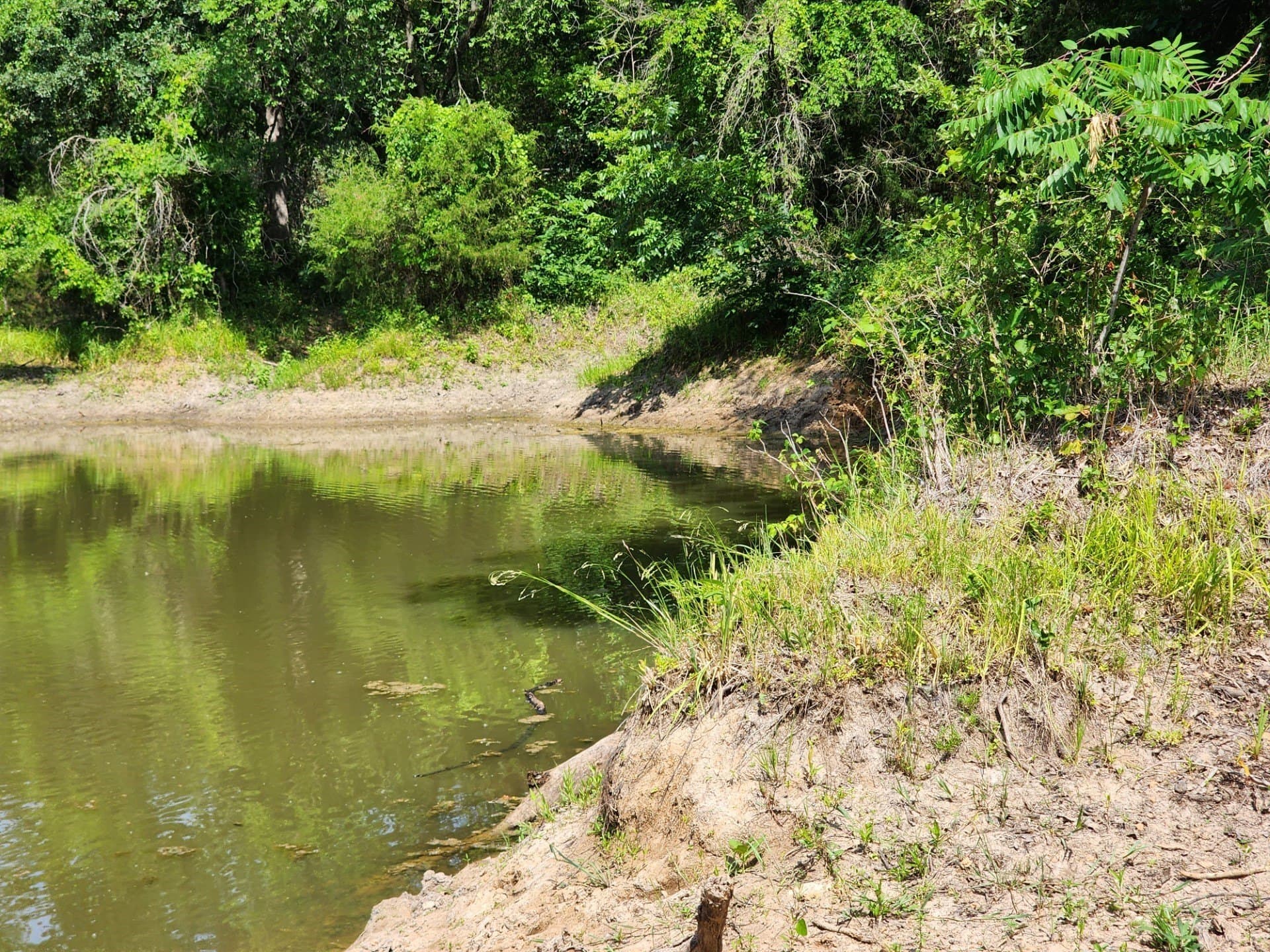 54.51 acres in Wise County - photo 7
