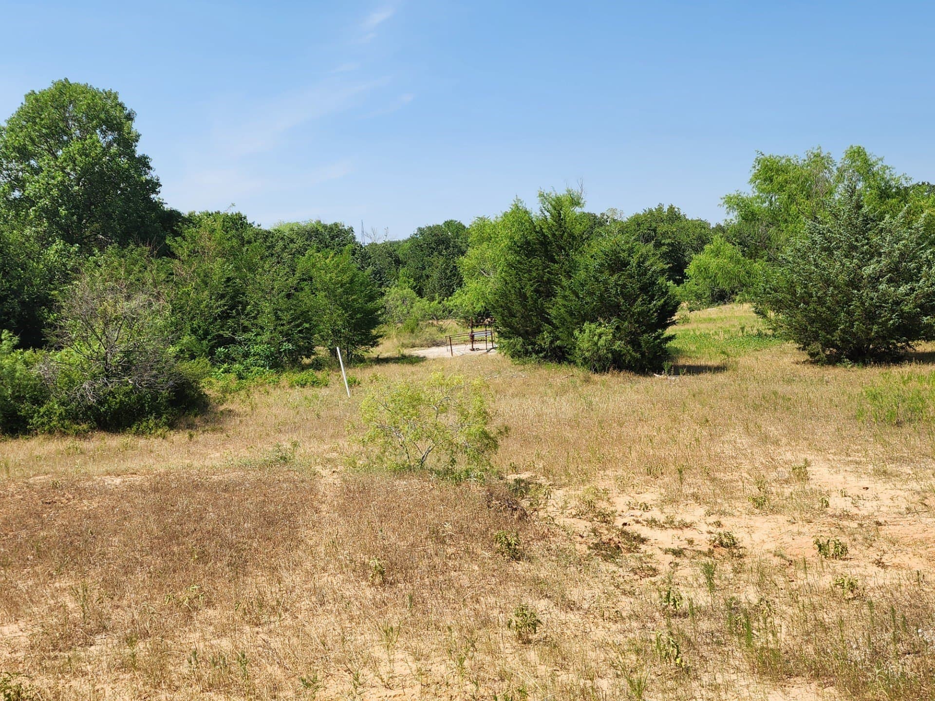 54.51 acres in Wise County - photo 9
