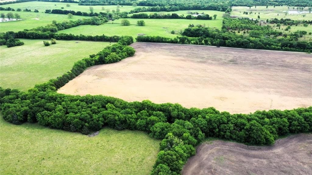 12 acres in Fannin County featured view