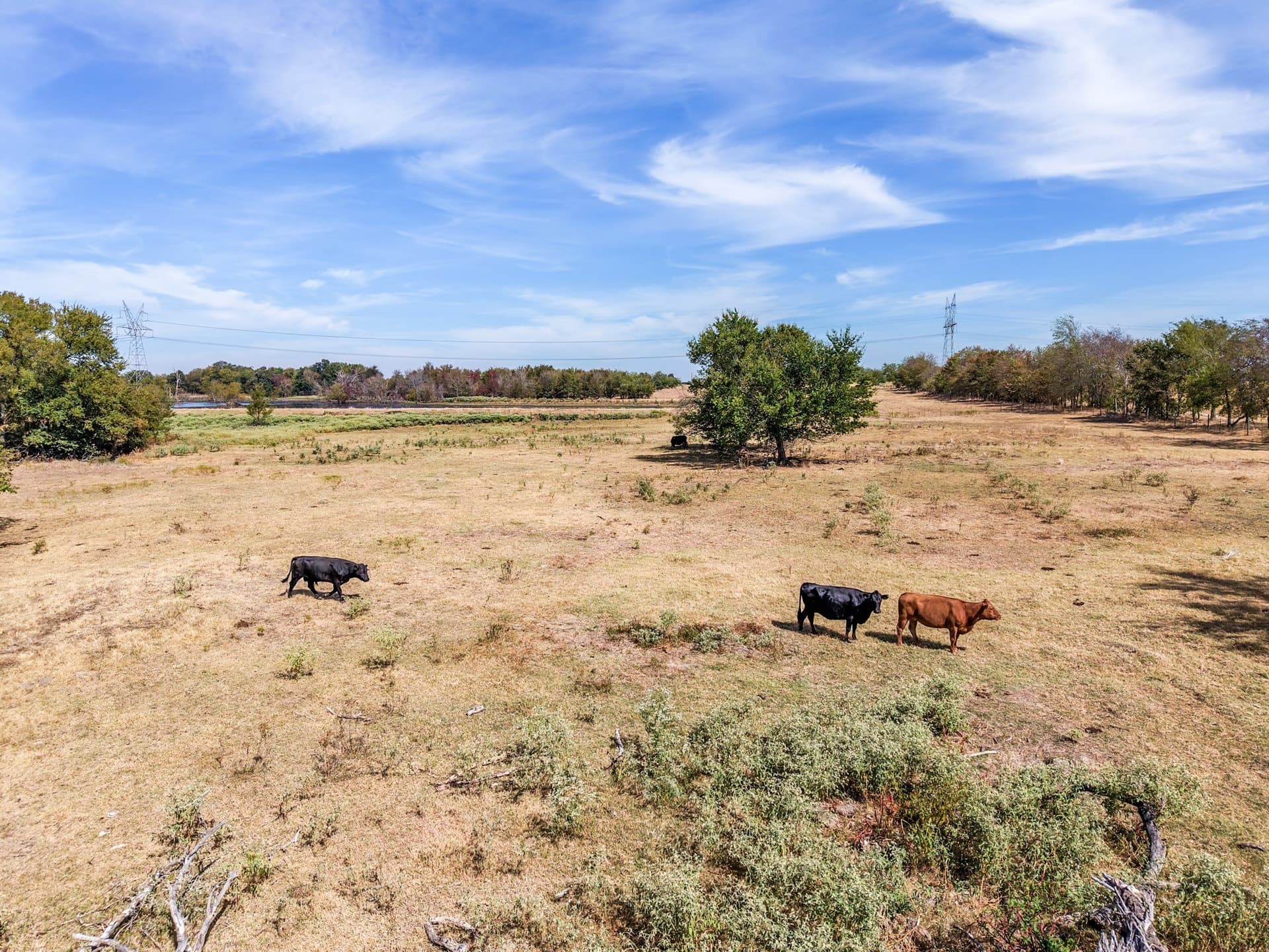 80 acres in Hopkins County - photo 14