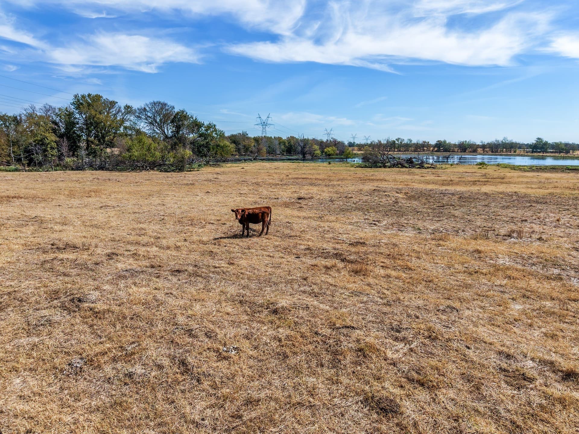 80 acres in Hopkins County - photo 18