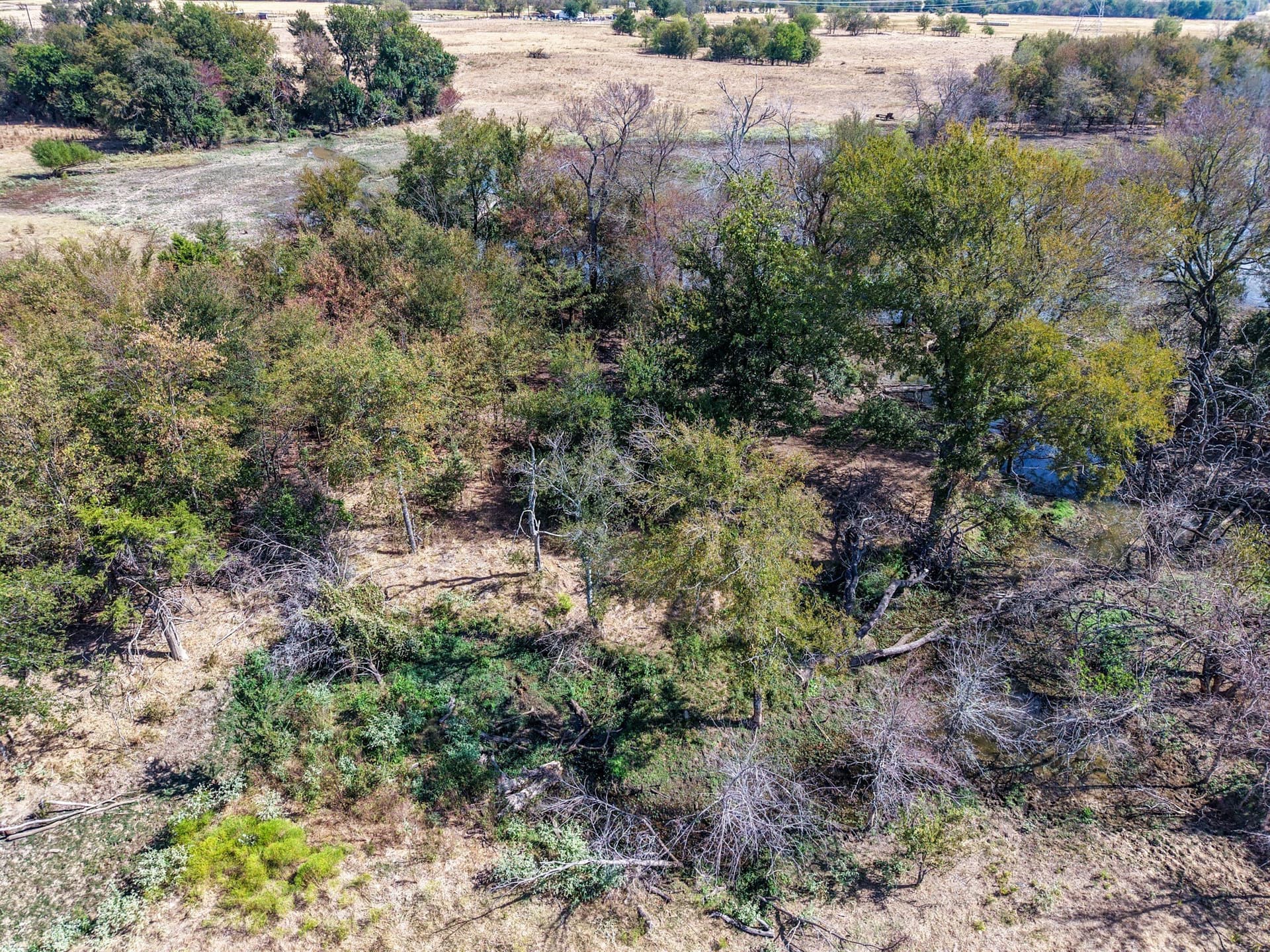 80 acres in Hopkins County - photo 29