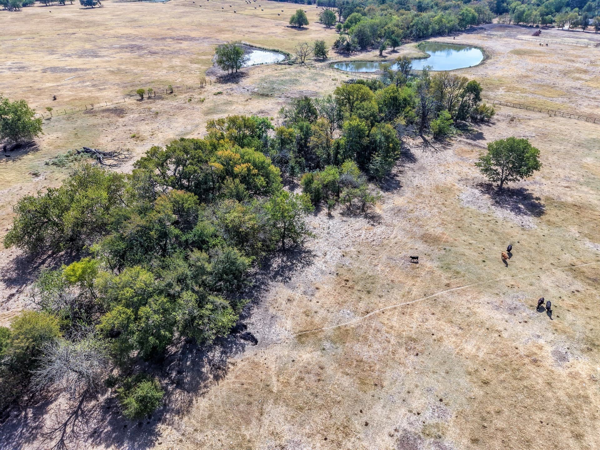 80 acres in Hopkins County - photo 10