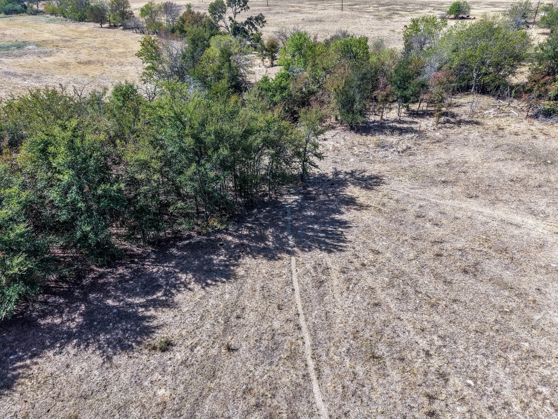 80 acres in Hopkins County - photo 27