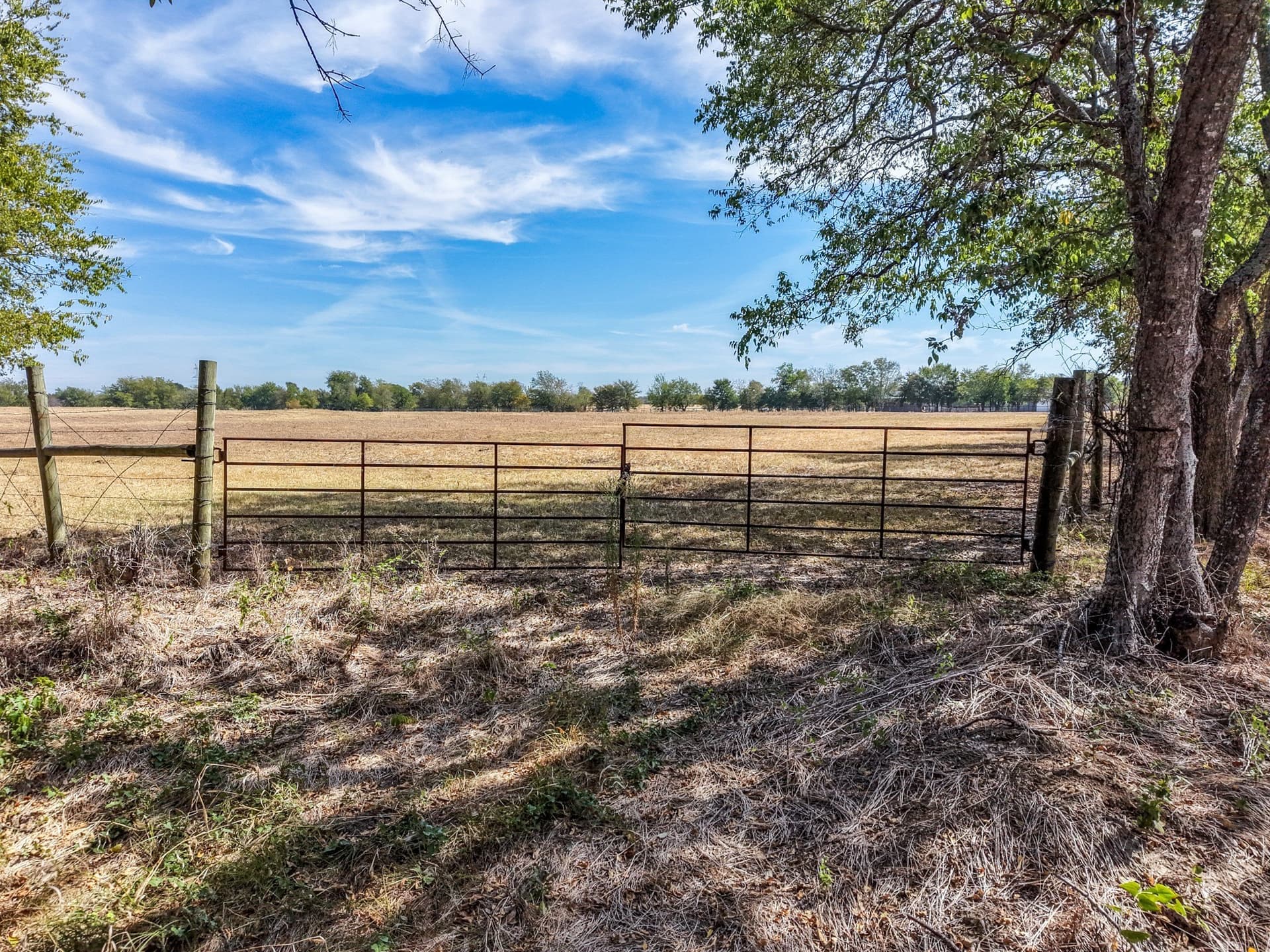 80 acres in Hopkins County - photo 8