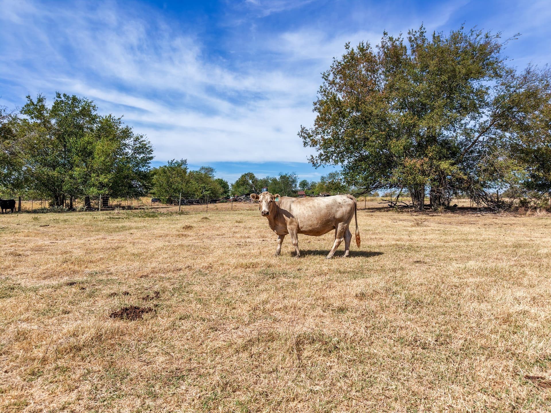 80 acres in Hopkins County - photo 9