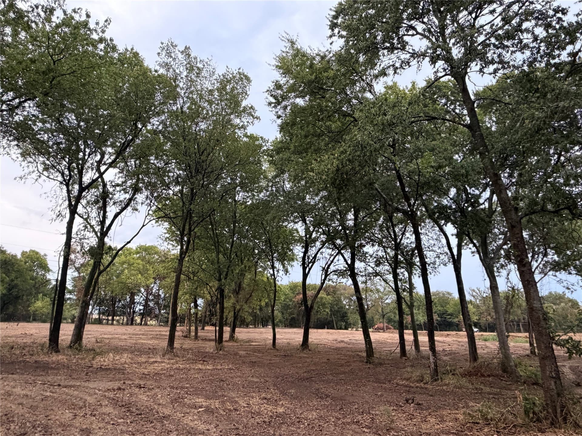 2 acres in Johnson County - photo 3
