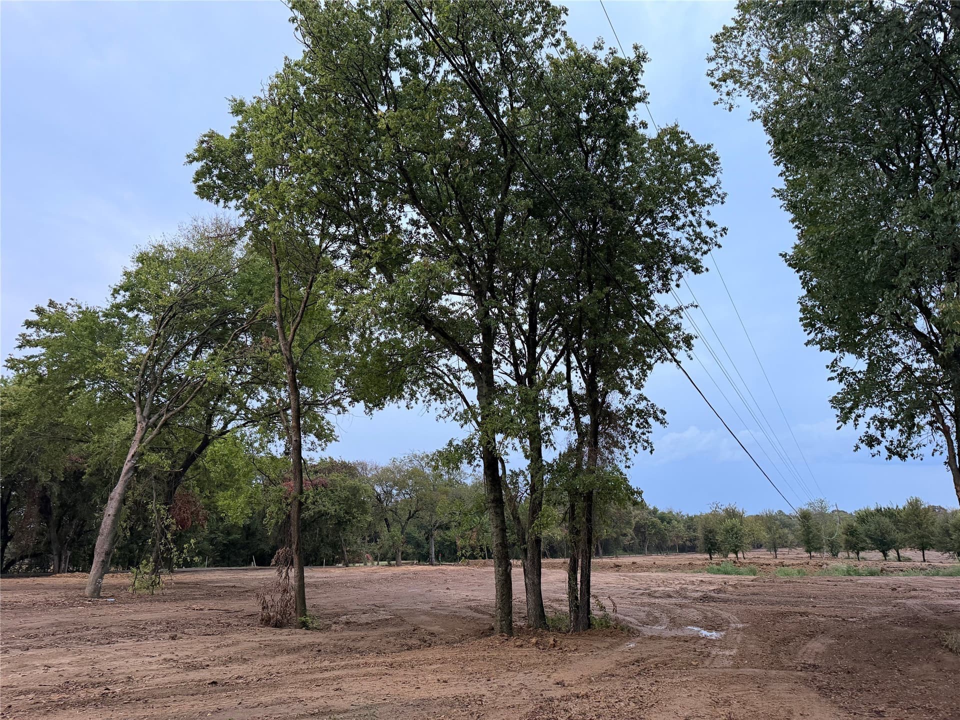 2 acres in Johnson County - photo 5