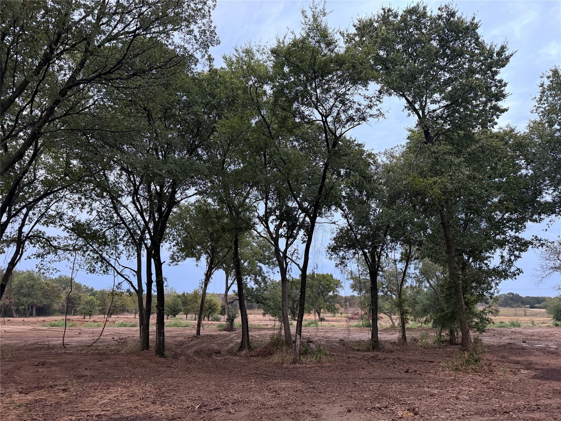 2 acres in Johnson County - photo 4