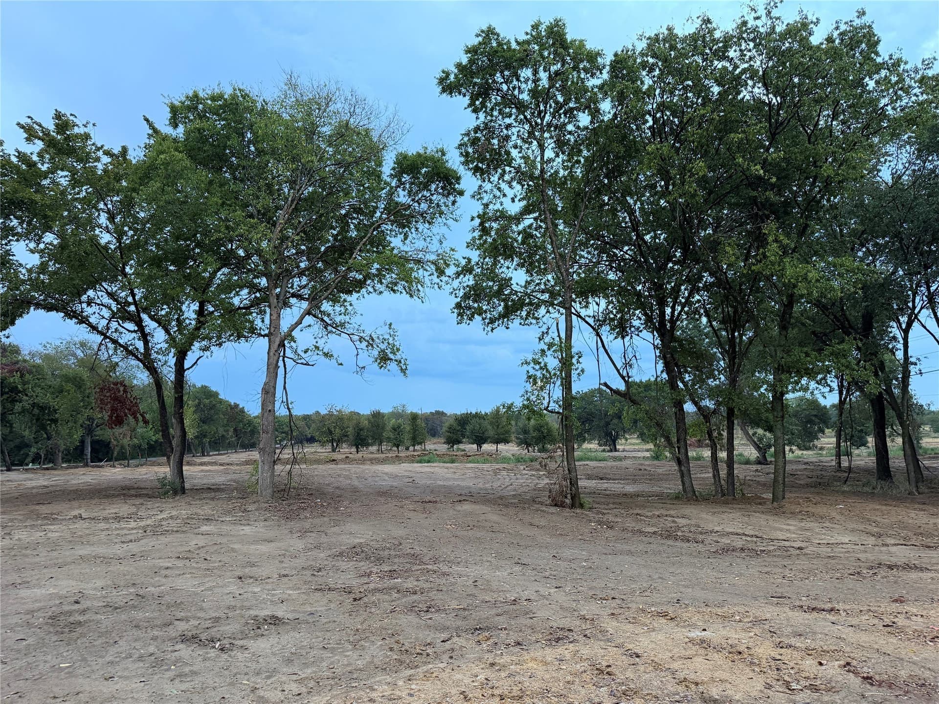 2 acres in Johnson County - photo 6