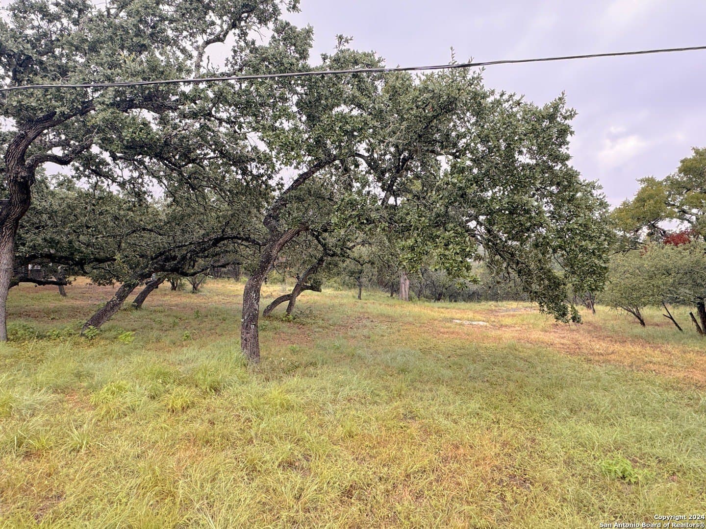 0.26 acres in Comal County featured view