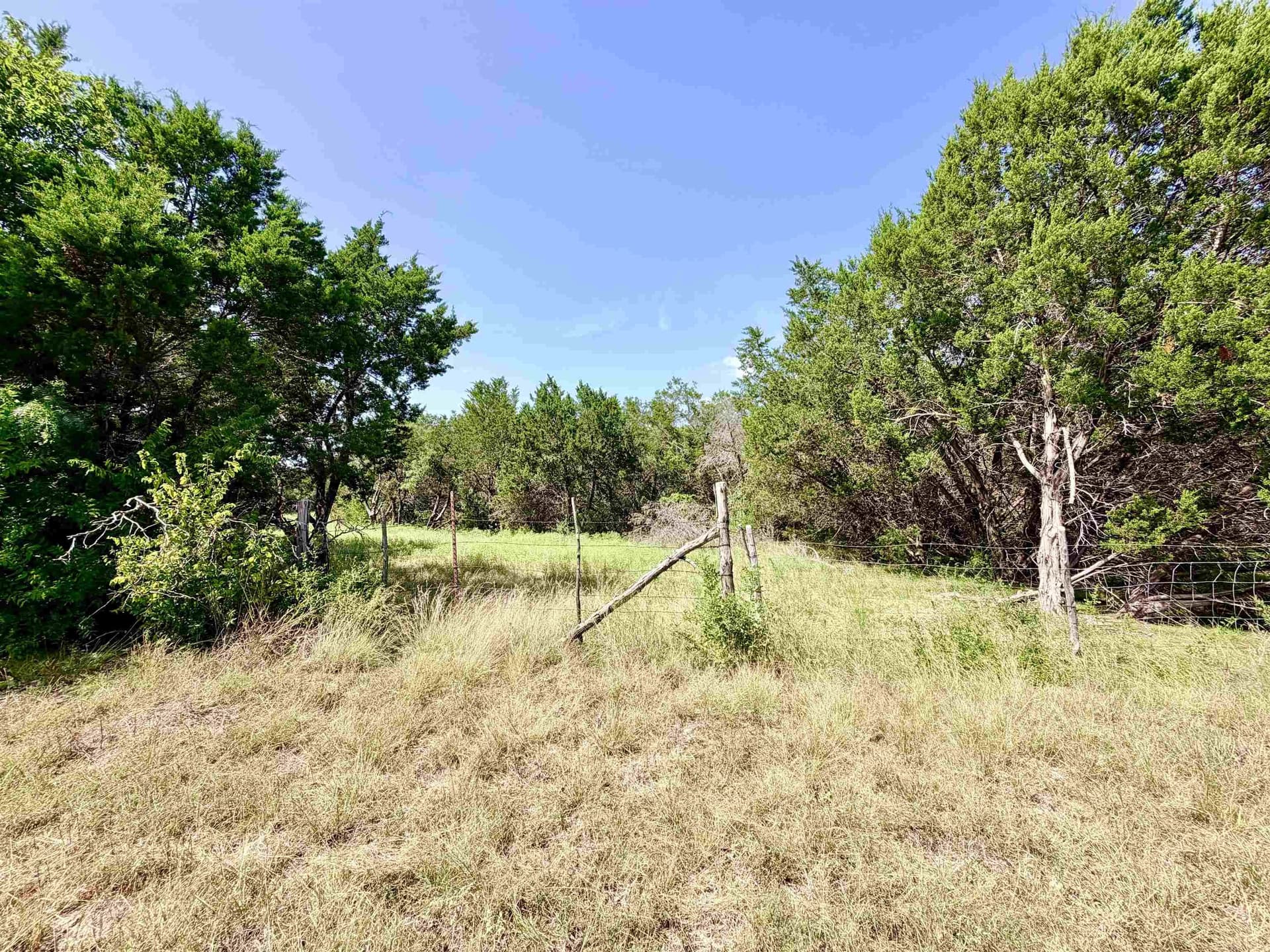 12.2 acres in Burnet County - photo 17