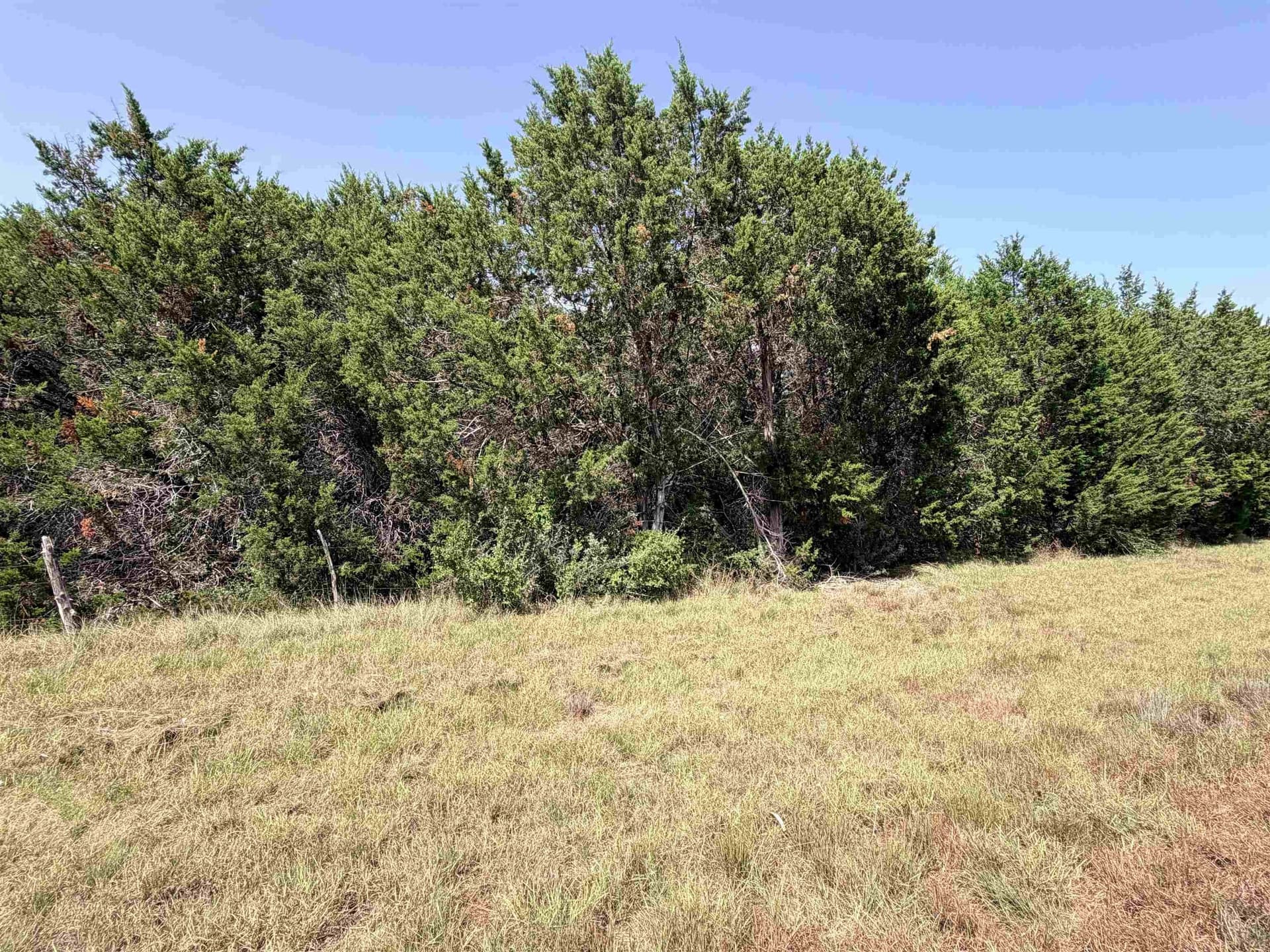 12.2 acres in Burnet County - photo 5