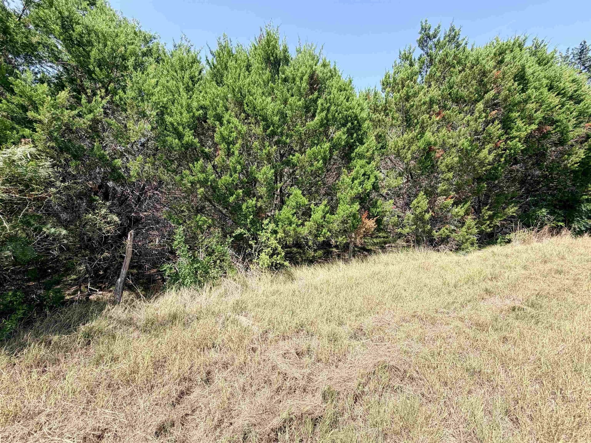 12.2 acres in Burnet County - photo 18