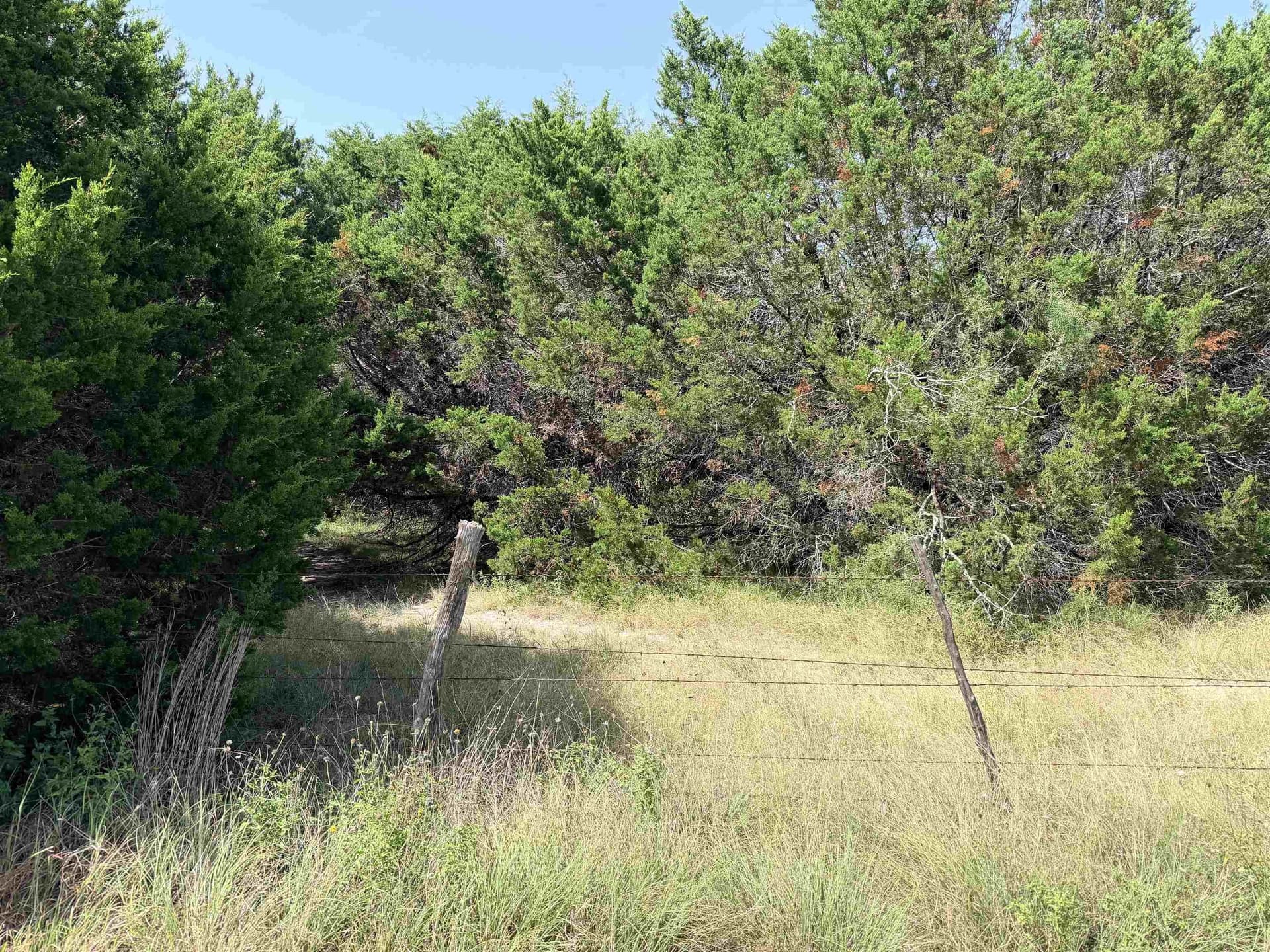 12.2 acres in Burnet County - photo 12