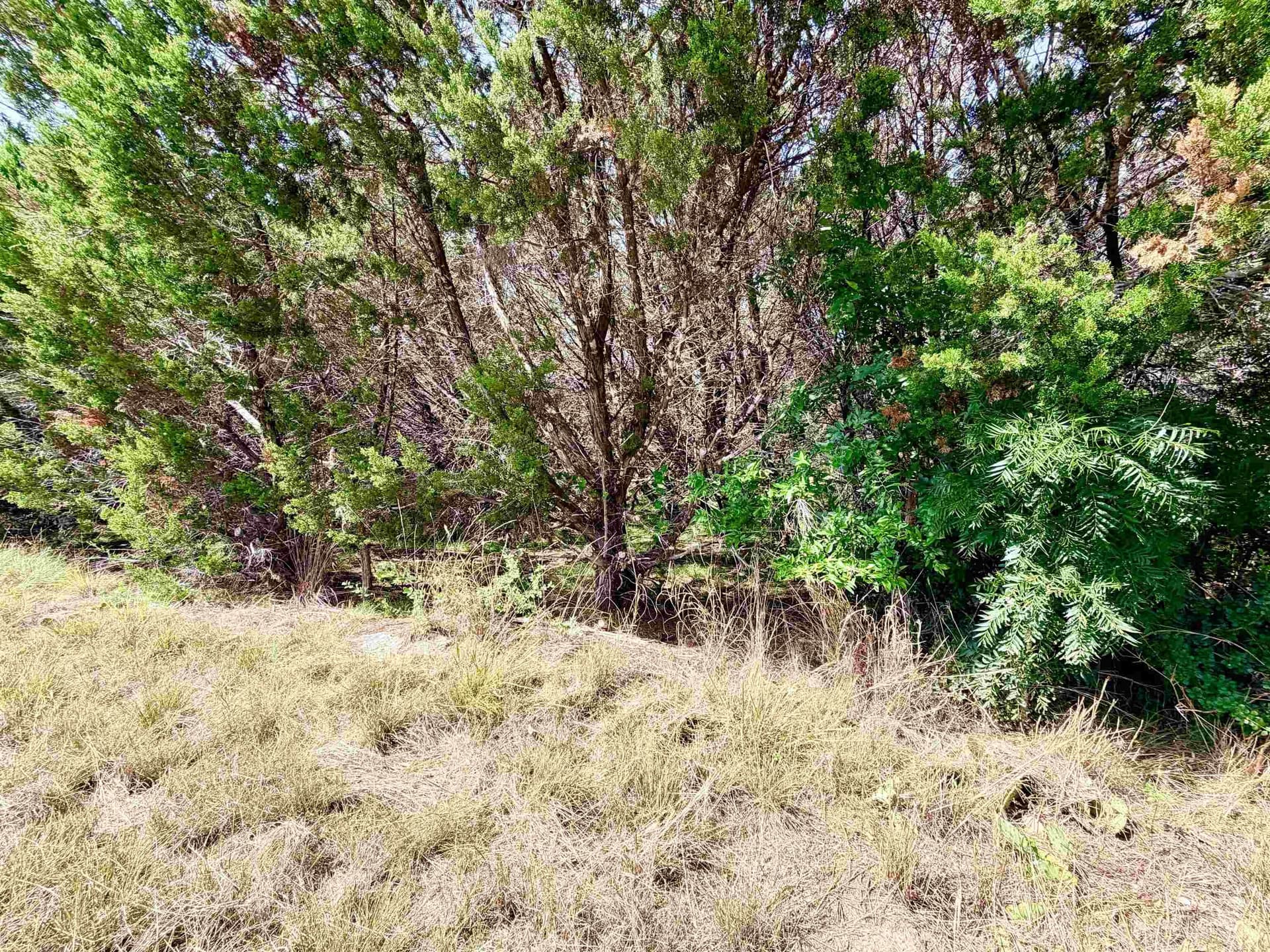 12.2 acres in Burnet County - photo 19
