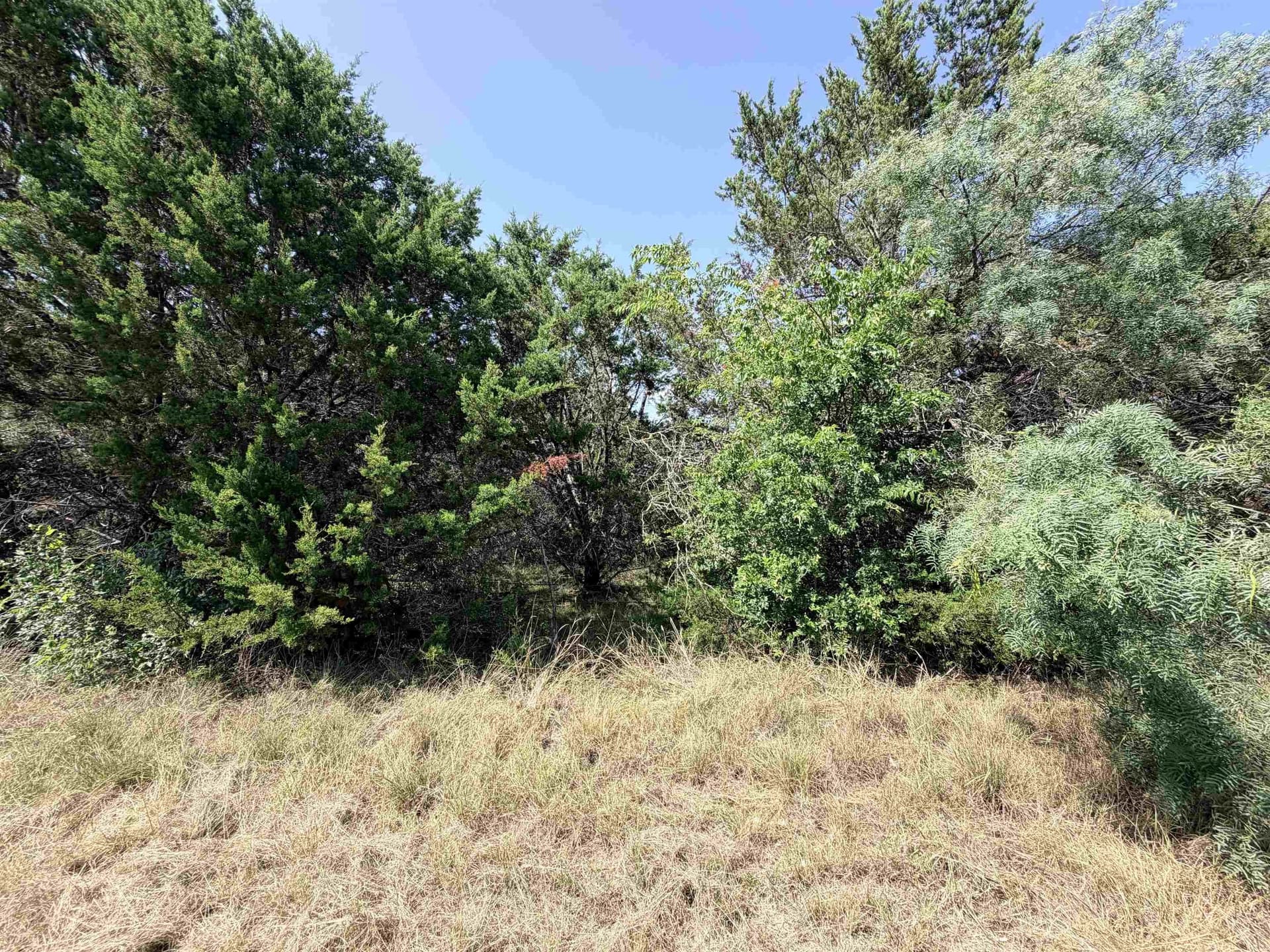 12.2 acres in Burnet County - photo 13