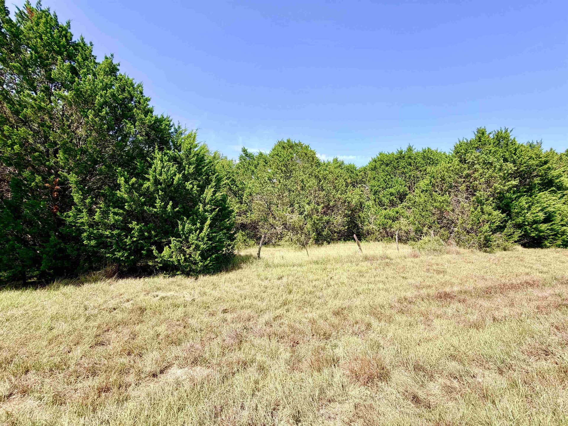 12.2 acres in Burnet County - photo 10