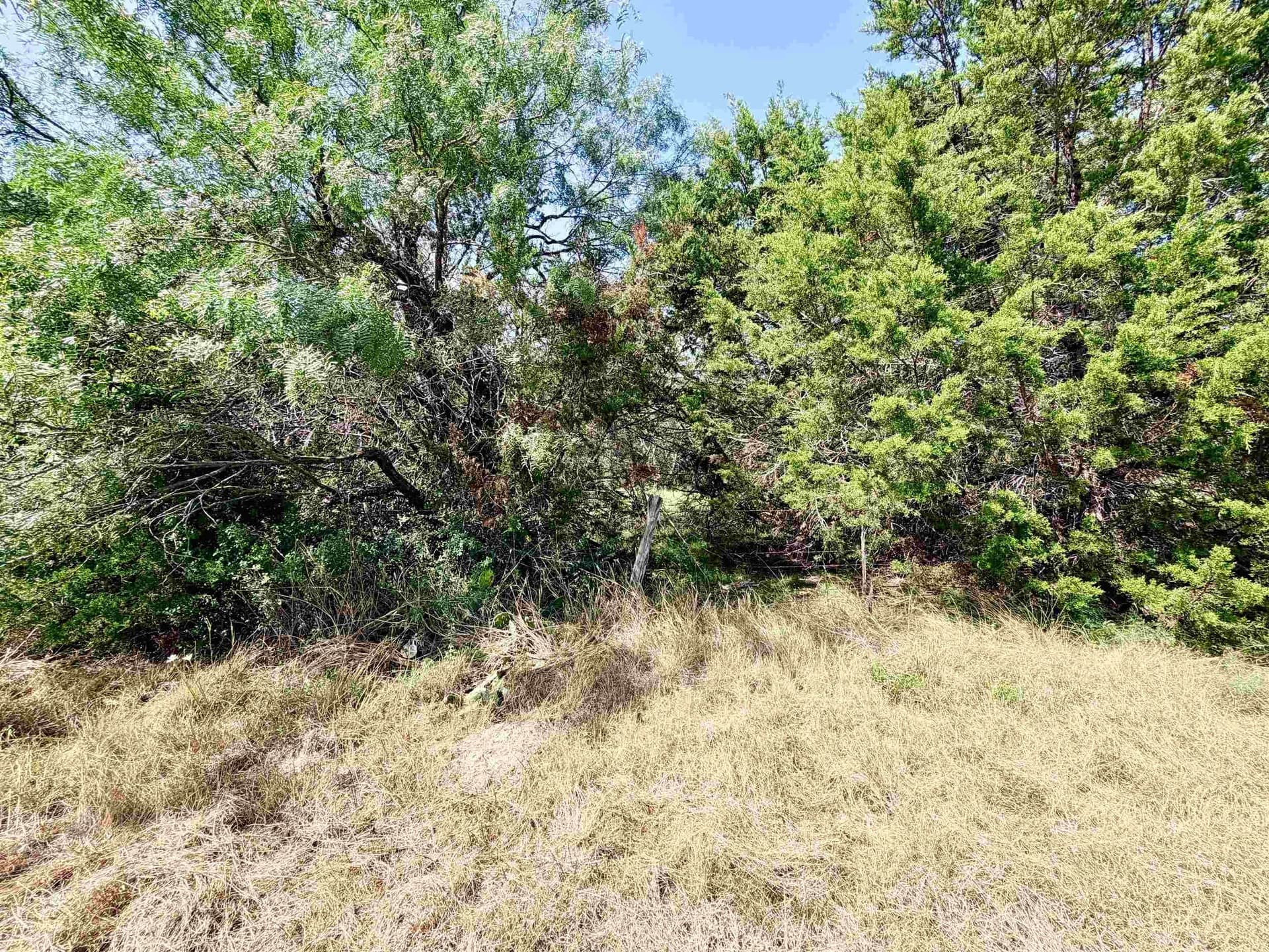 12.2 acres in Burnet County - photo 15