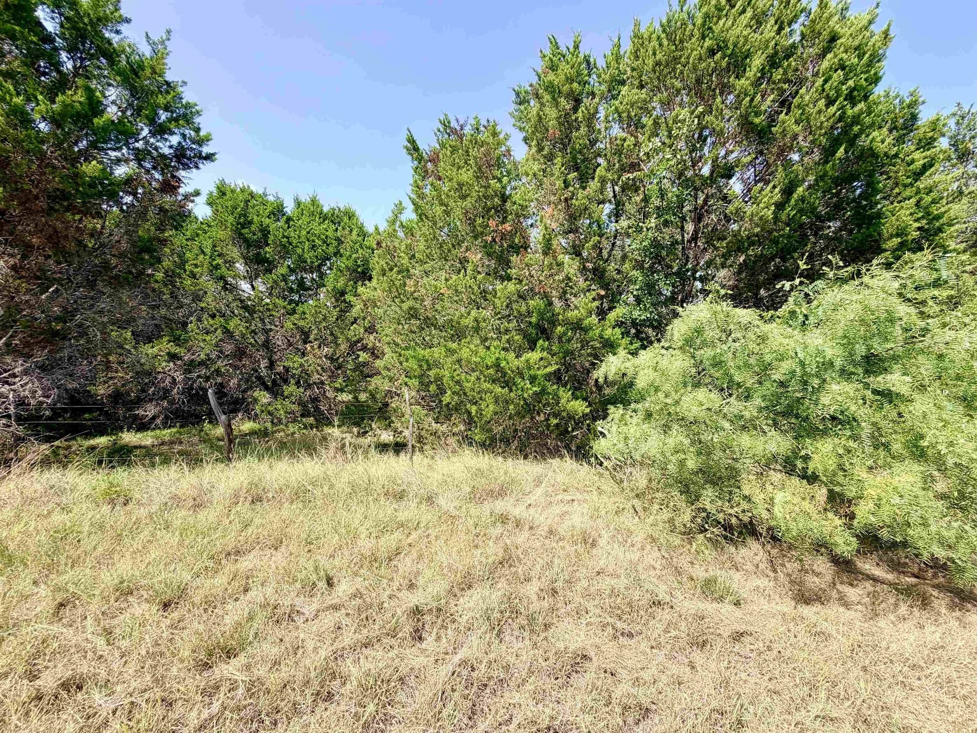 12.2 acres in Burnet County - photo 9