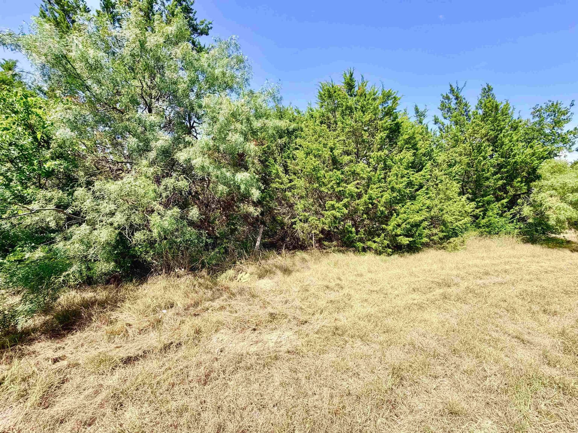 12.2 acres in Burnet County - photo 8