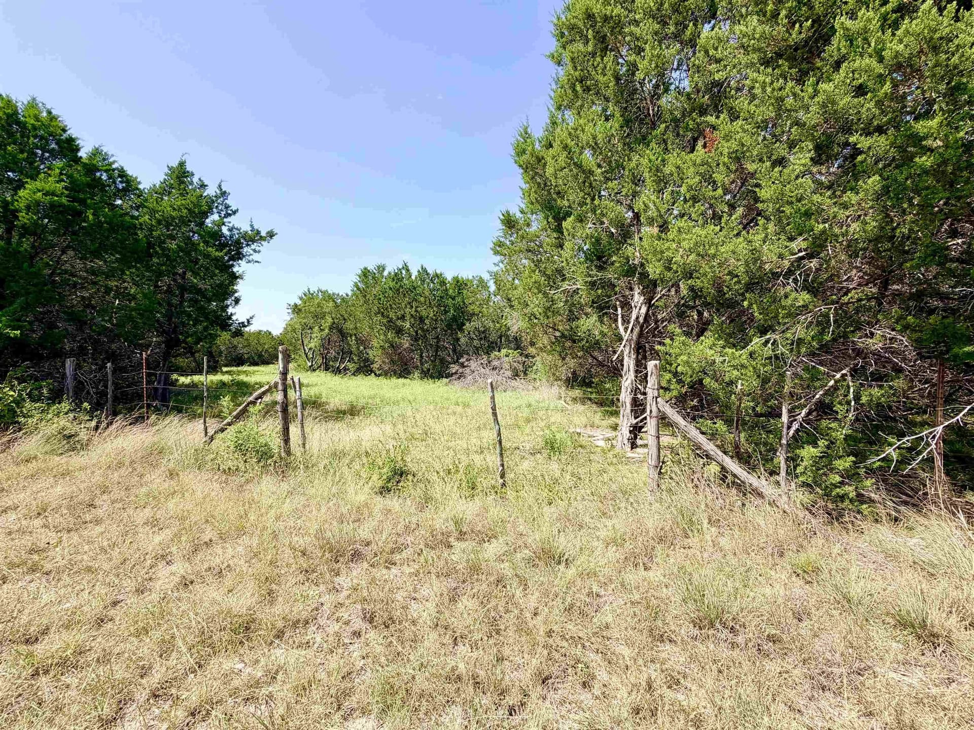 12.2 acres in Burnet County - photo 6
