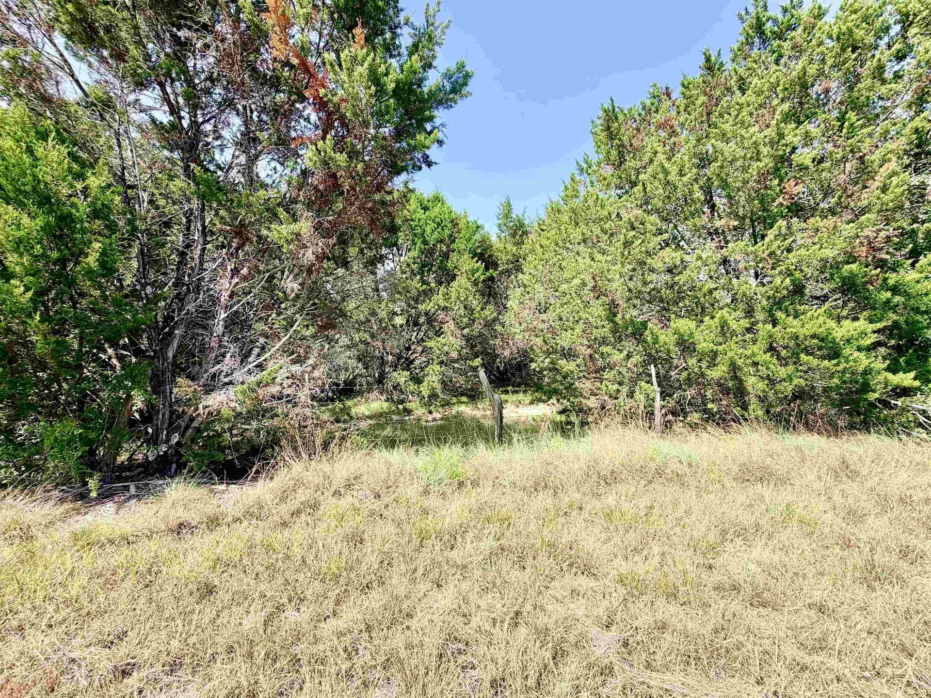 12.2 acres in Burnet County - photo 14