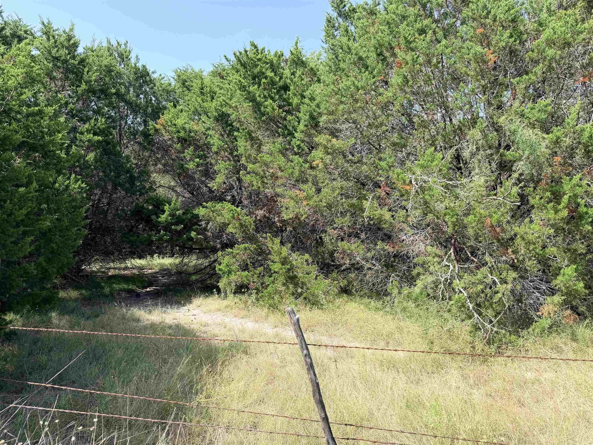 12.2 acres in Burnet County - photo 11