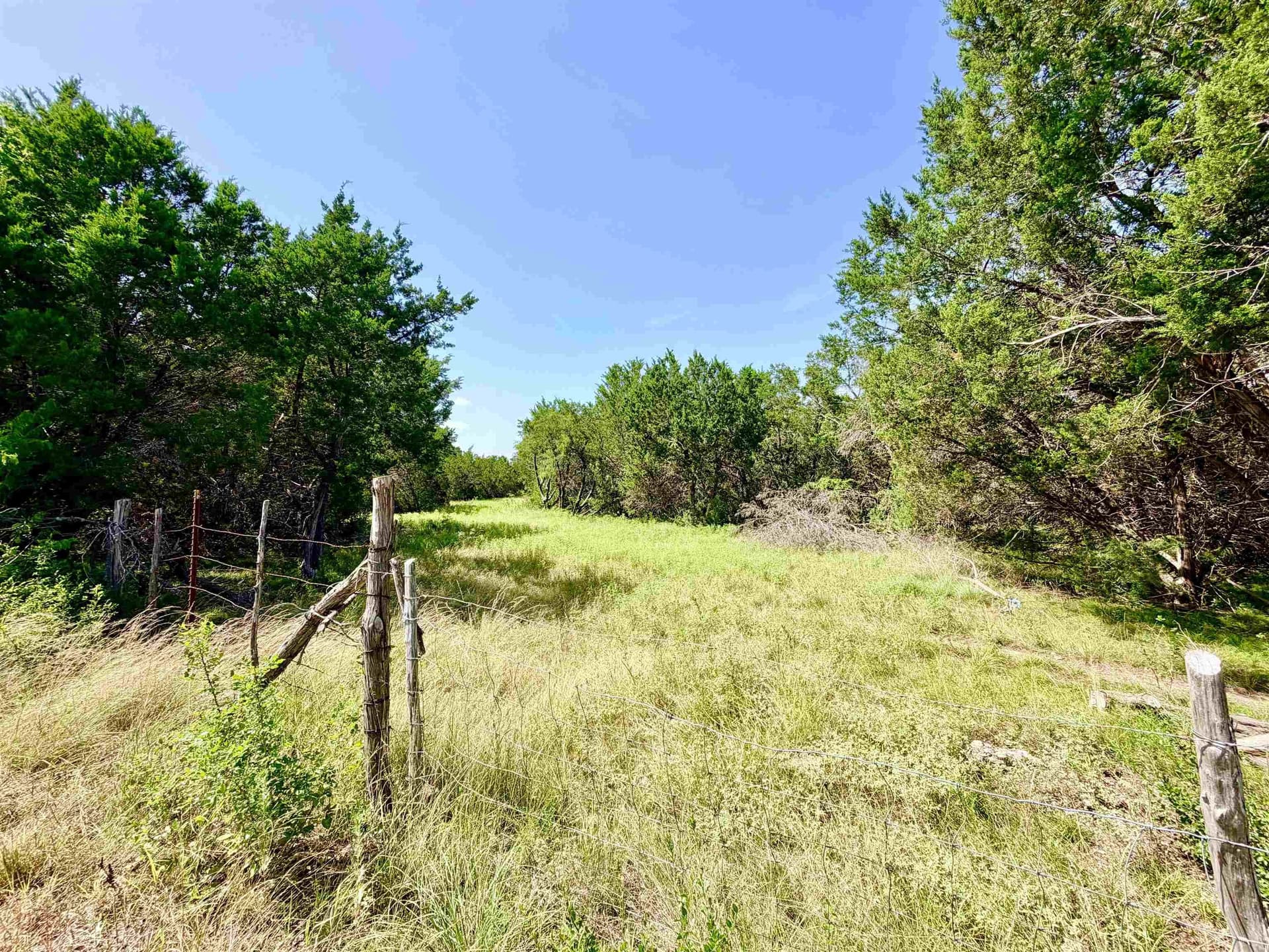 12.2 acres in Burnet County - photo 7