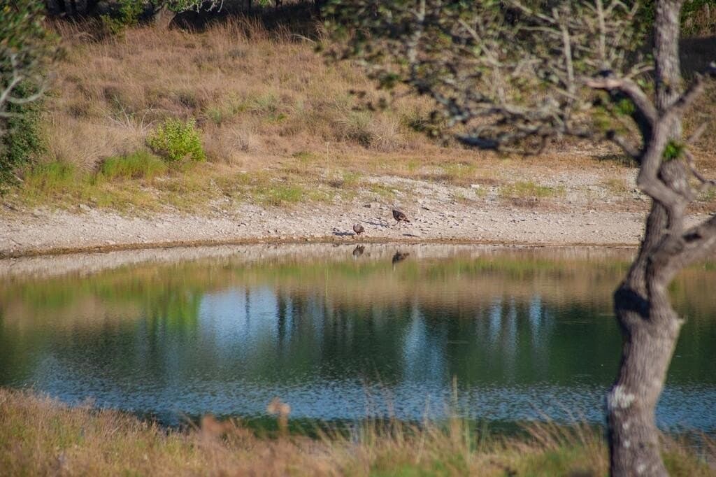 27.2 acres in Gillespie County - photo 3