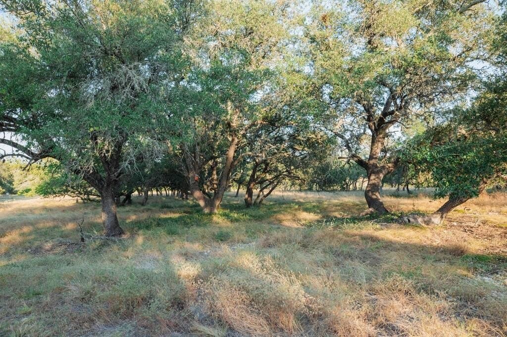 27.2 acres in Gillespie County - photo 16