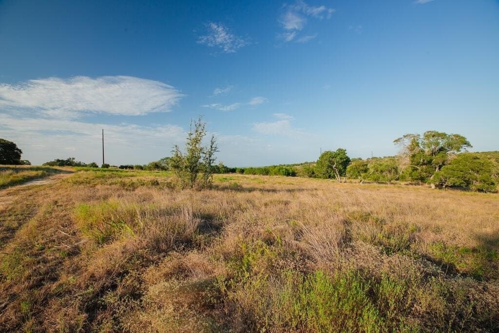 27.2 acres in Gillespie County - photo 2