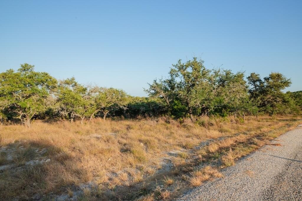 27.2 acres in Gillespie County - photo 19