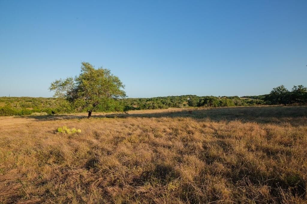 27.2 acres in Gillespie County - photo 15