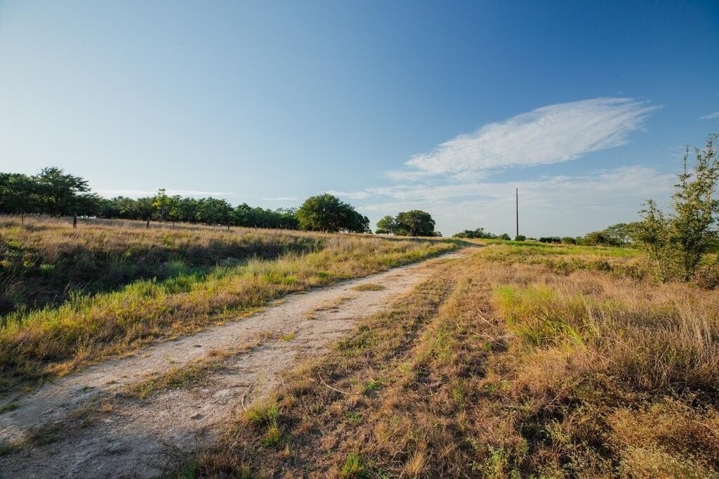 27.2 acres in Gillespie County - photo 13